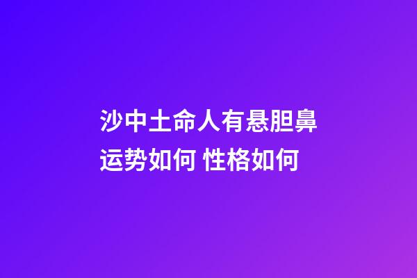 沙中土命人有悬胆鼻运势如何 性格如何